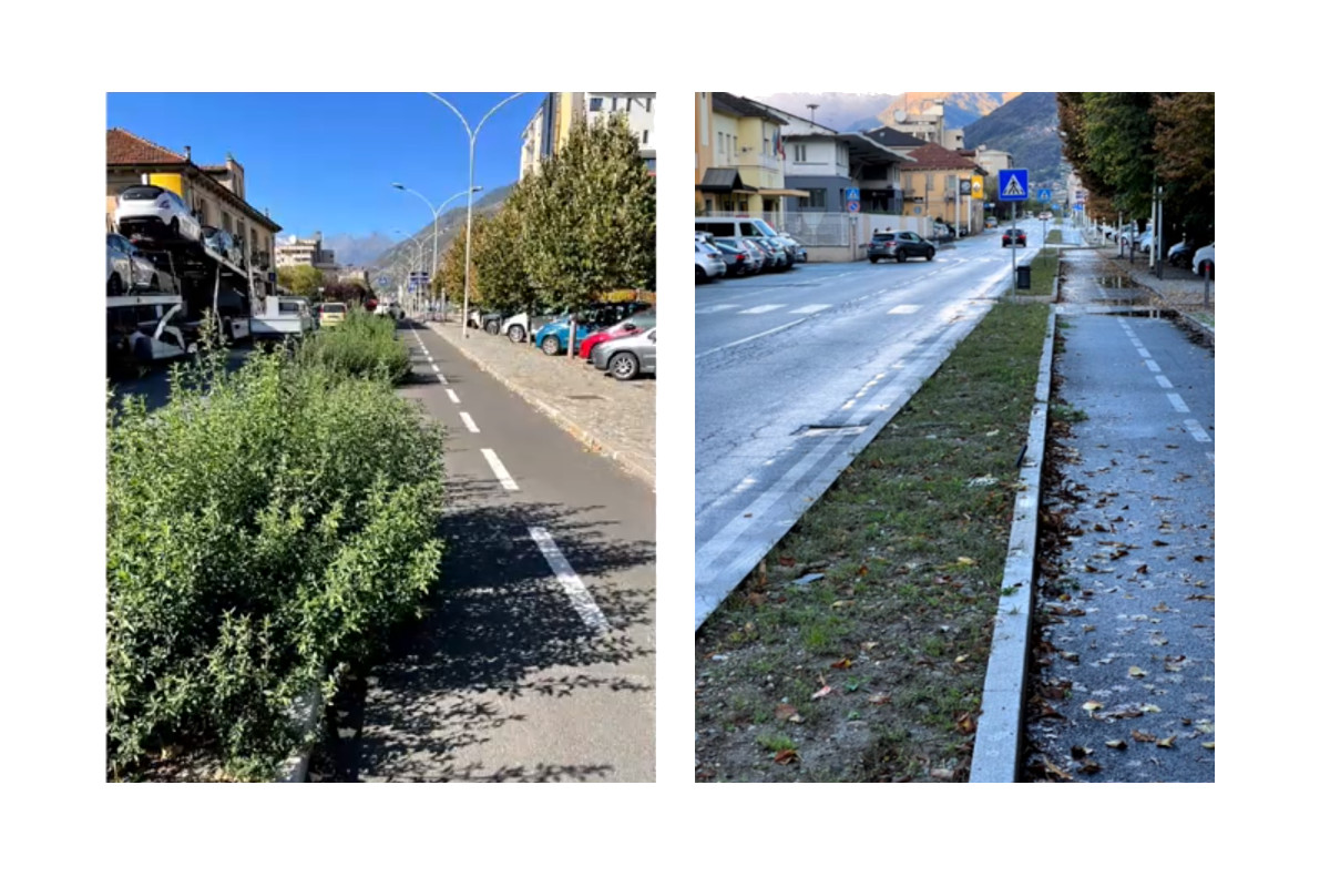 La situazione delle 'piante autoctone' descritta dal consigliere Bruno Giordano e l'intervento effettuato dall'Amministrazione comunale